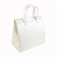 Borsa frigo in tnt laminato 100 g/m2, chiusura con velcro FullGadgets.com