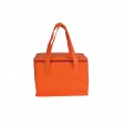 Borsa termica in tnt laminato e interno argentato FullGadgets.com