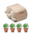 CRESS - Kit di coltivazione in cartone FullGadgets.com