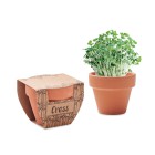 CRESS POT - Semi di crescione in vaso FullGadgets.com