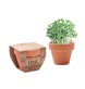 CRESS POT - Semi di crescione in vaso FullGadgets.com