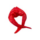 Foulard/bandana in poliestere 45 gr/m2 FullGadgets.com