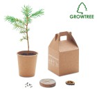 GROWTREE™ - Set in legno di pino FullGadgets.com