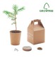 GROWTREE™ - Set in legno di pino FullGadgets.com