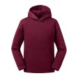 Kids Authentic Hooded Sweat FullGadgets.com