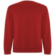 Maglione unisex a girocollo Batian FullGadgets.com