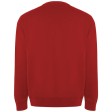 Maglione unisex a girocollo Batian FullGadgets.com