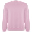 Maglione unisex a girocollo Batian FullGadgets.com