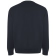 Maglione unisex a girocollo Batian FullGadgets.com