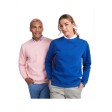 Maglione unisex a girocollo Batian FullGadgets.com