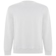 Maglione unisex a girocollo Batian FullGadgets.com