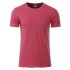 Maglietta Basic-T 100% Cotone Personalizzabile |James 6 Nicholson