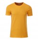 Men's Basic-T 100%C FullGadgets.com