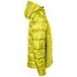 Men's Hood Down Jacket 100%P FullGadgets.com