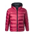 Men's Hooded Down Jacket FullGadgets.com