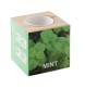 MENTA - Mini vaso in legno FullGadgets.com