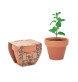 MINT POT - Semi di menta in vaso FullGadgets.com