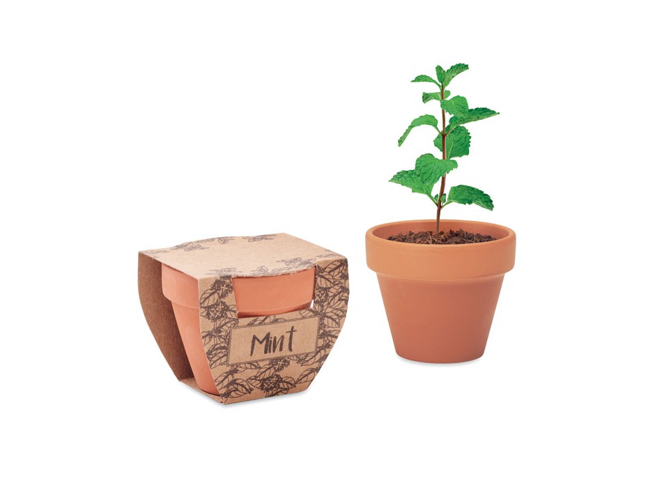 MINT POT - Semi di menta in vaso FullGadgets.com