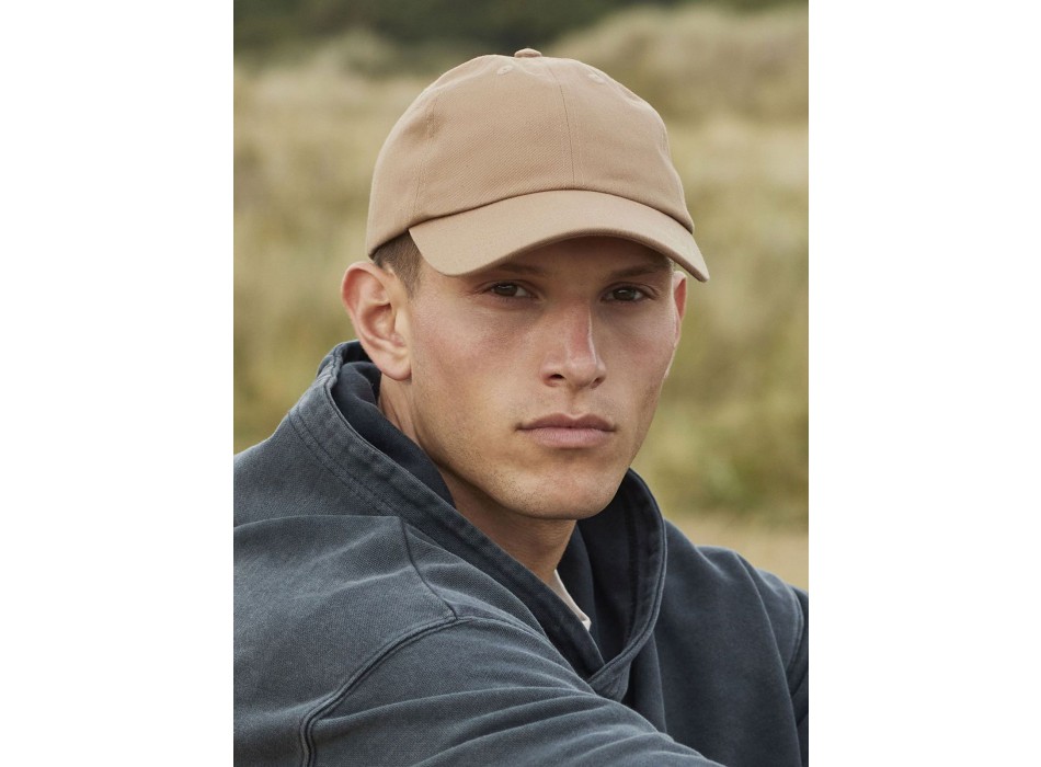 Organic Cotton 6 Panel Dad Cap FullGadgets.com