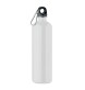 REBIG MOSS - Acciaio inox riciclato 750ml FullGadgets.com