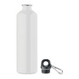 REBIG MOSS - Acciaio inox riciclato 750ml FullGadgets.com