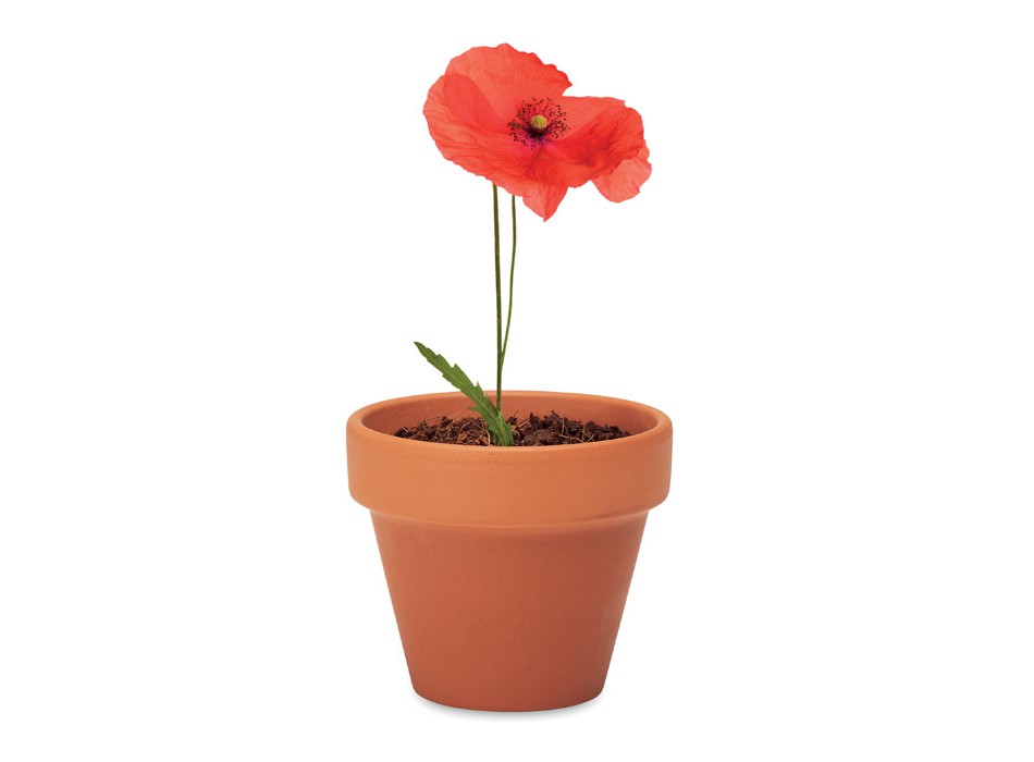 RED POPPY - Semi di papavero FullGadgets.com