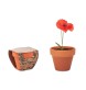 RED POPPY - Semi di papavero FullGadgets.com