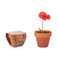 Vaso Terracotta Personalizzabile Con Semi Di Papavero - Red Poppy