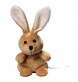 Schmoozies® XXL rabbit 100%P FullGadgets.com