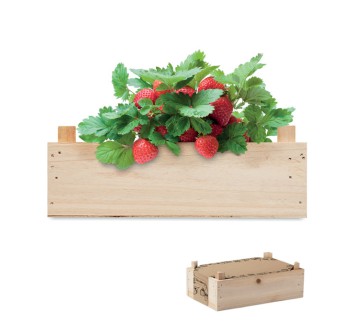 STRAWBERRY - Kit per coltivare fragole FullGadgets.com