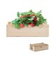 STRAWBERRY - Kit per coltivare fragole FullGadgets.com