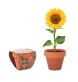 SUNFLOWER - Semi di girasole FullGadgets.com