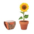 Vaso Di Terracotta Personalizzabile Con Semi Di Girasole - Sunflower