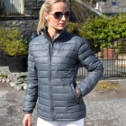 W Ice Bird Padded Jacket 100%N FullGadgets.com