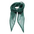 Women Chiffon Scarf 100%P FullGadgets.com