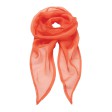 Women Chiffon Scarf 100%P FullGadgets.com