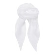 Women Chiffon Scarf 100%P FullGadgets.com