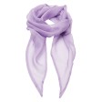 Women Chiffon Scarf 100%P FullGadgets.com