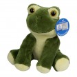 Zoo animal frog Arwin 100%P FullGadgets.com